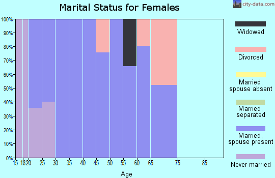 Zip code 38328 marital status for females