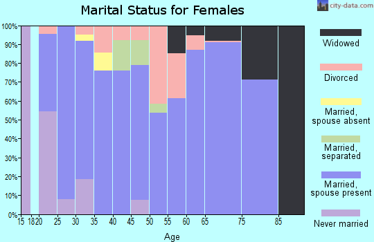 Zip code 38334 marital status for females