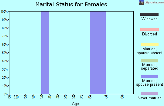 Zip code 38347 marital status for females