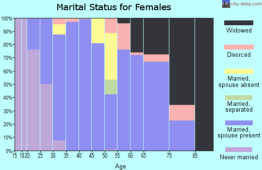 Zip code 38357 marital status for females