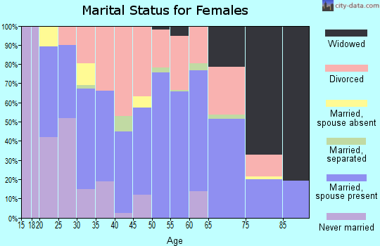 Zip code 38358 marital status for females