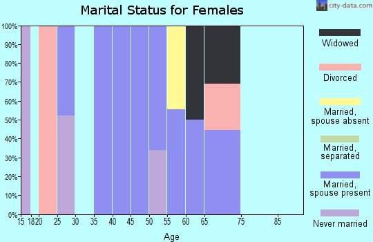 Zip code 38361 marital status for females
