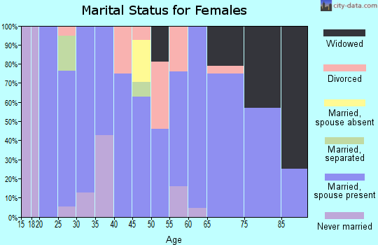 Zip code 38379 marital status for females