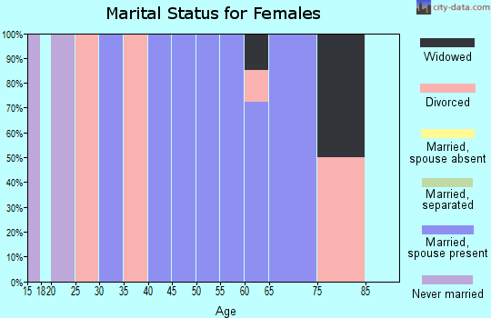 Zip code 38453 marital status for females
