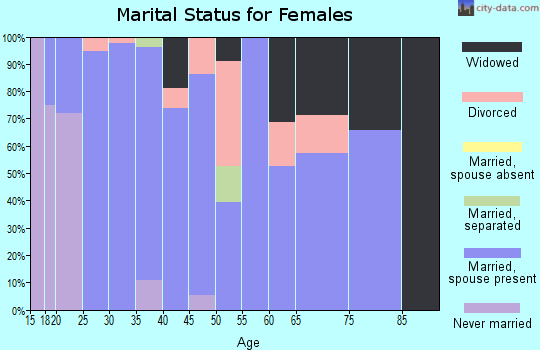 Zip code 38463 marital status for females