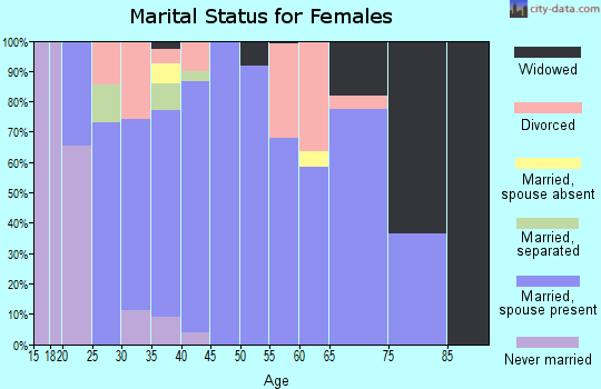 Zip code 38483 marital status for females