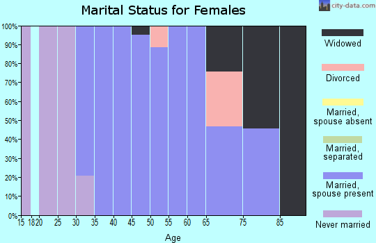 Zip code 38541 marital status for females