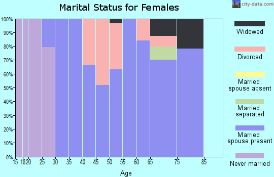 Zip code 38582 marital status for females