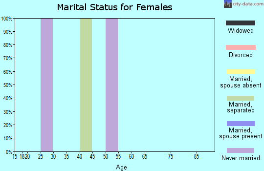Zip code 38738 marital status for females