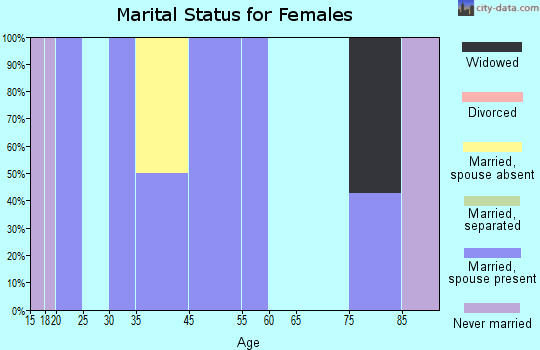 Zip code 38739 marital status for females