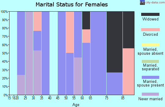 Zip code 38740 marital status for females