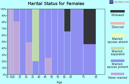 Zip code 38838 marital status for females