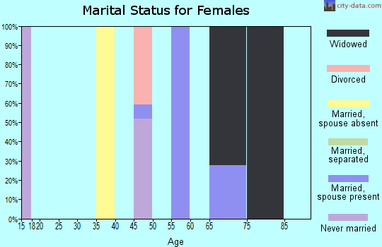 Zip code 38844 marital status for females