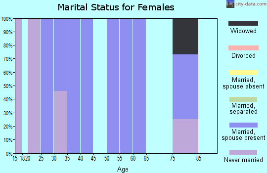 Zip code 38848 marital status for females