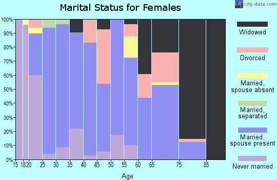 Zip code 38855 marital status for females