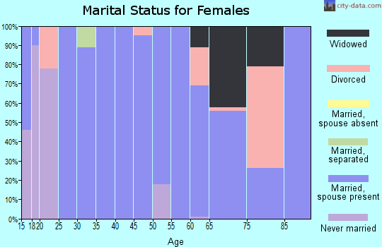 Zip code 38856 marital status for females