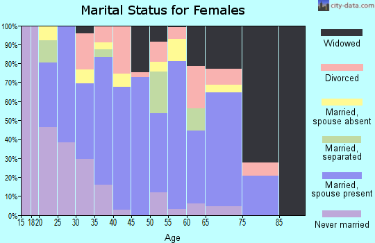 Zip code 38858 marital status for females