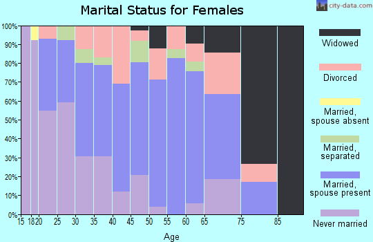Zip code 38868 marital status for females