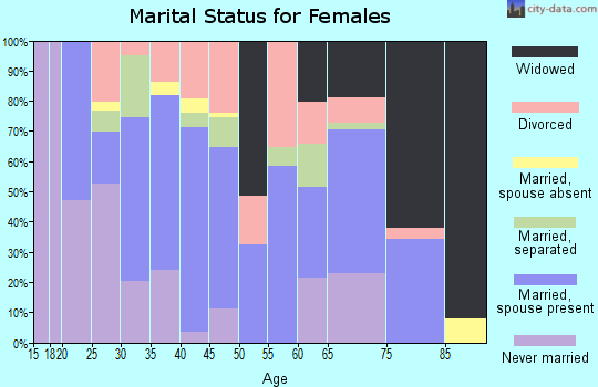 Zip code 38878 marital status for females