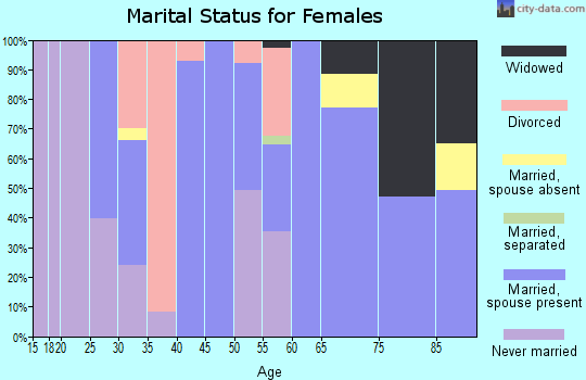Zip code 38951 marital status for females