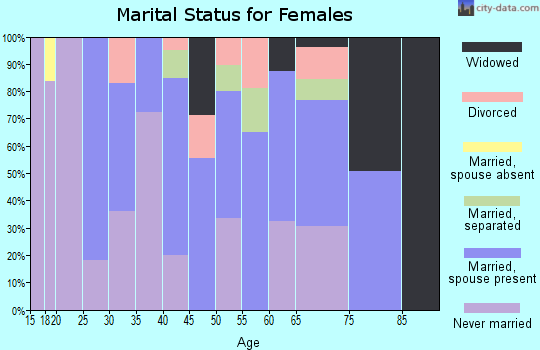 Zip code 38963 marital status for females