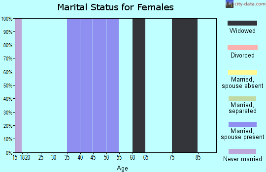 Zip code 38964 marital status for females