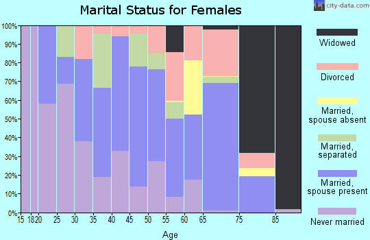 Zip code 38967 marital status for females
