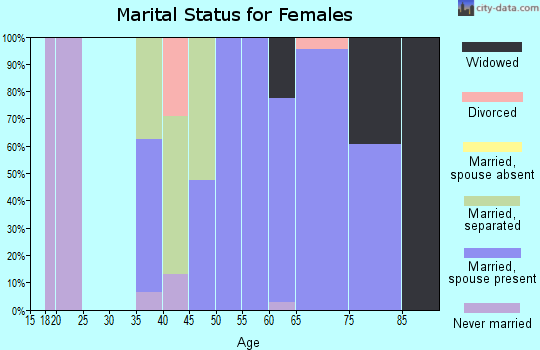 Zip code 39336 marital status for females