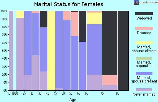 Zip code 41034 marital status for females