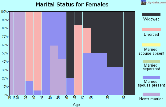 Zip code 41085 marital status for females