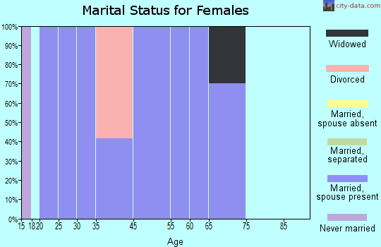 Zip code 41137 marital status for females