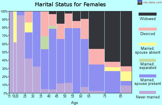 Zip code 41139 marital status for females