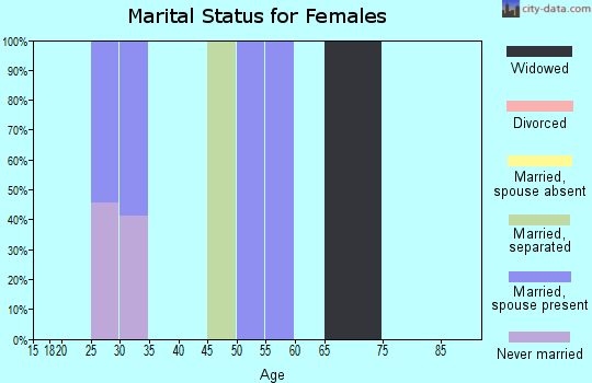 Zip code 41201 marital status for females