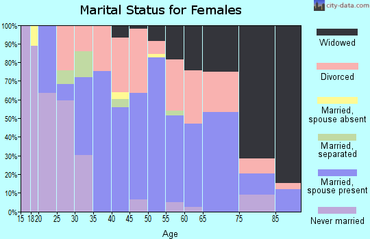 Zip code 41240 marital status for females