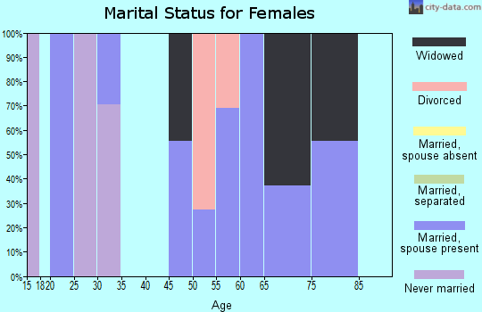 Zip code 41260 marital status for females