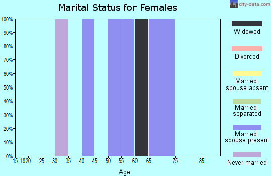 Zip code 41268 marital status for females