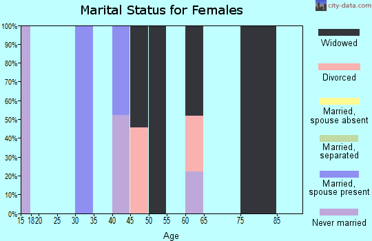 Zip code 41360 marital status for females