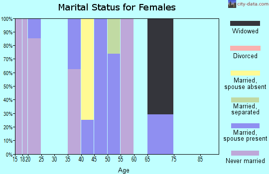 Zip code 41408 marital status for females