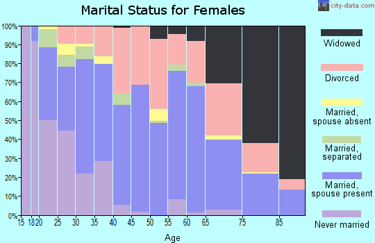 Zip code 41653 marital status for females