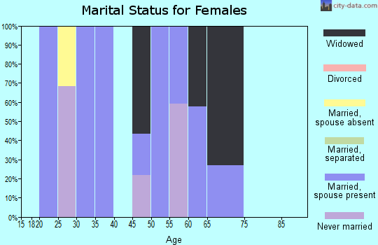 Zip code 41667 marital status for females