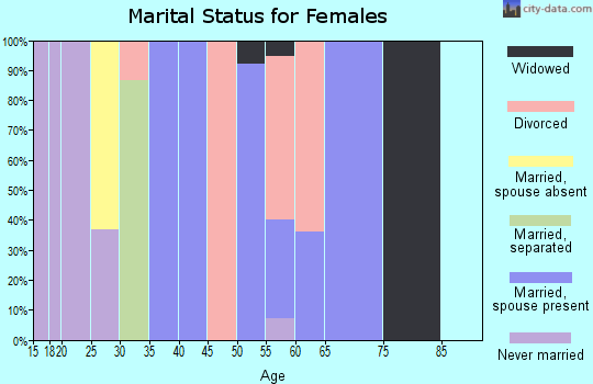 Zip code 41804 marital status for females
