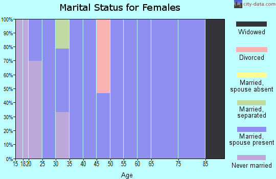 Zip code 42040 marital status for females