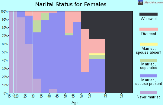 Zip code 42049 marital status for females