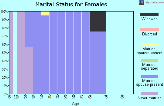 Zip code 42054 marital status for females