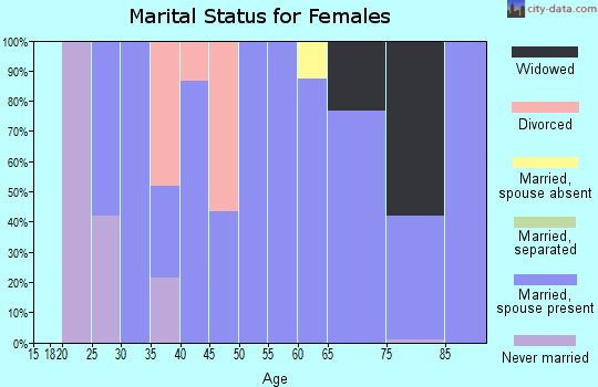 Zip code 42079 marital status for females