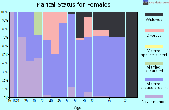 Zip code 42140 marital status for females