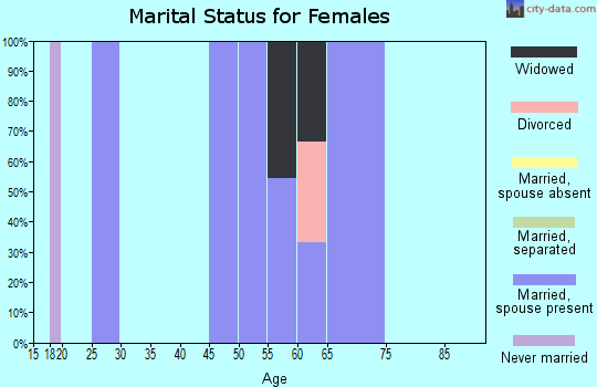 Zip code 42153 marital status for females