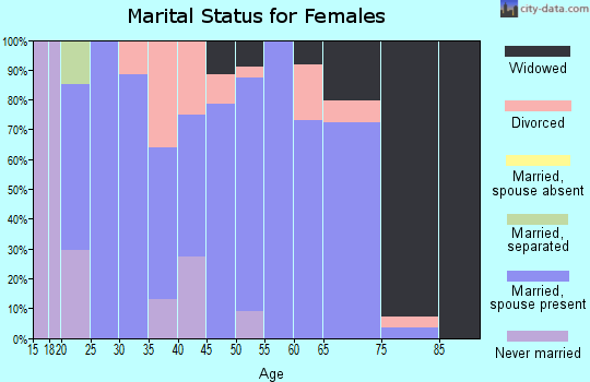Zip code 42325 marital status for females