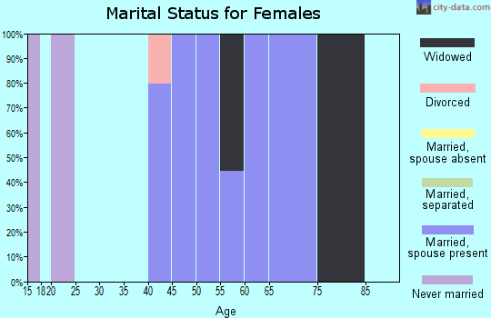 Zip code 42371 marital status for females