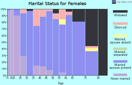 Zip code 42413 marital status for females